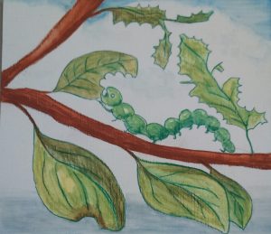 watercolours IMG_20150829_151227