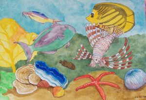 watercolours NFS fish