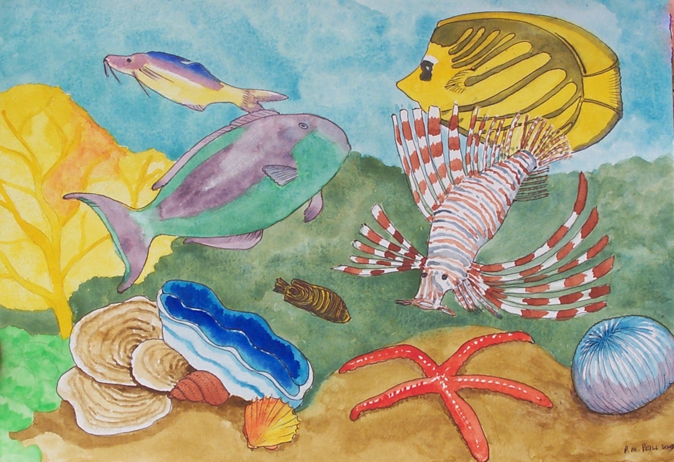 watercolours NFS fish