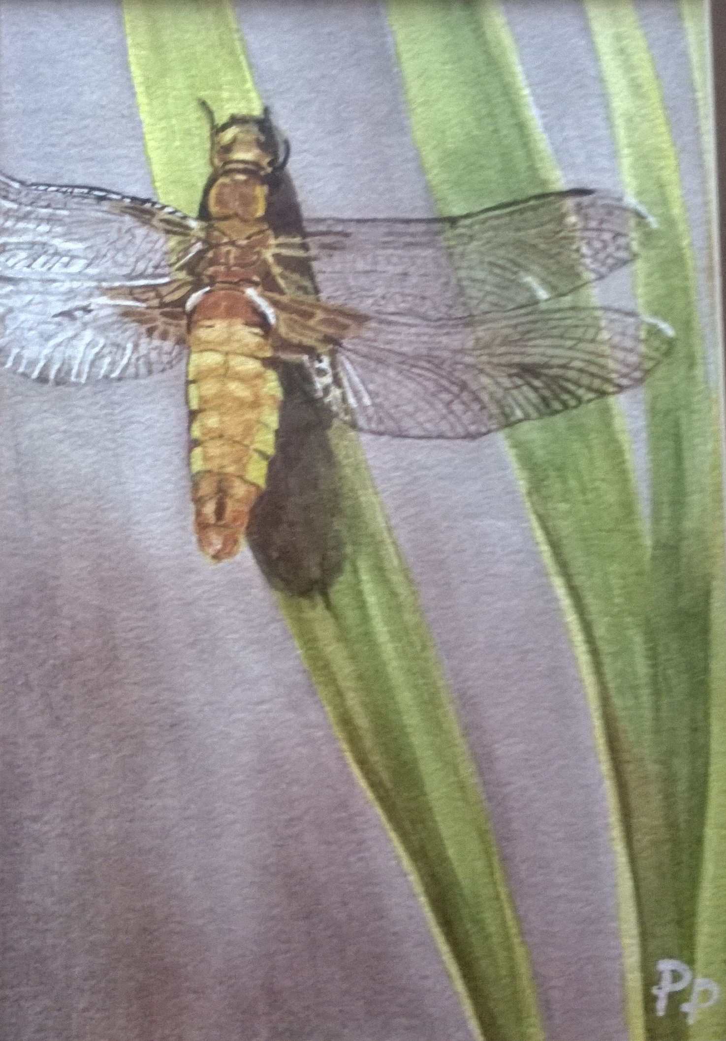 watercolours WP_20150110_12_02_28_Pro