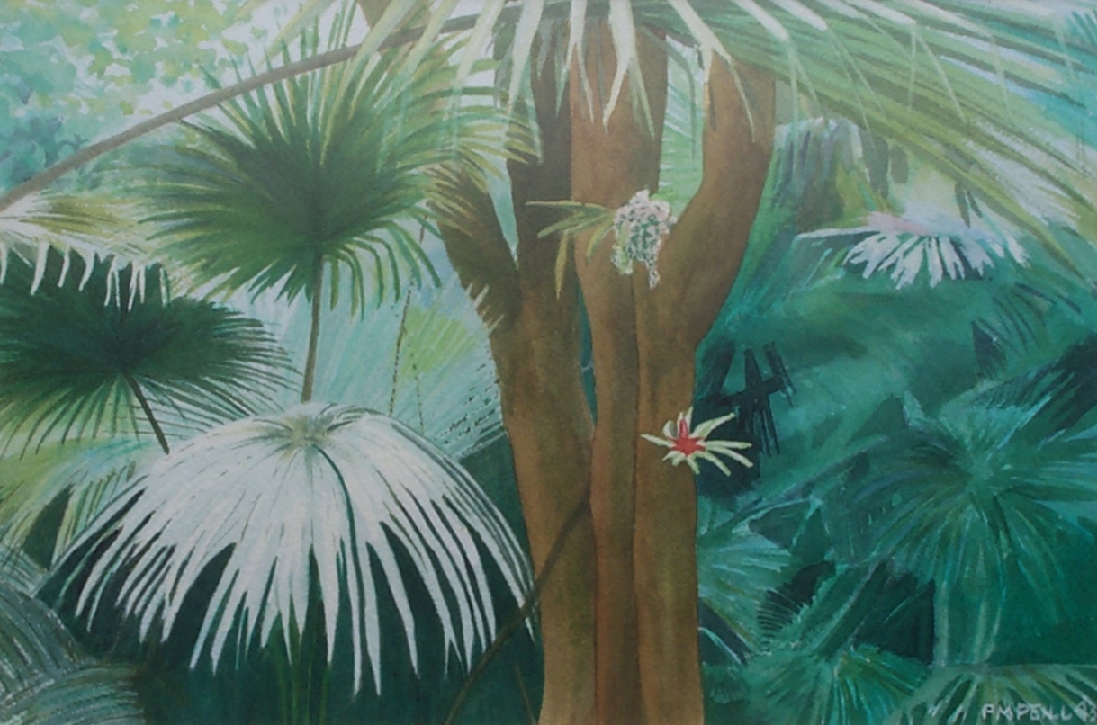 watercolours florida 328