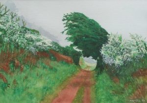 watercolours hawthornlane 344