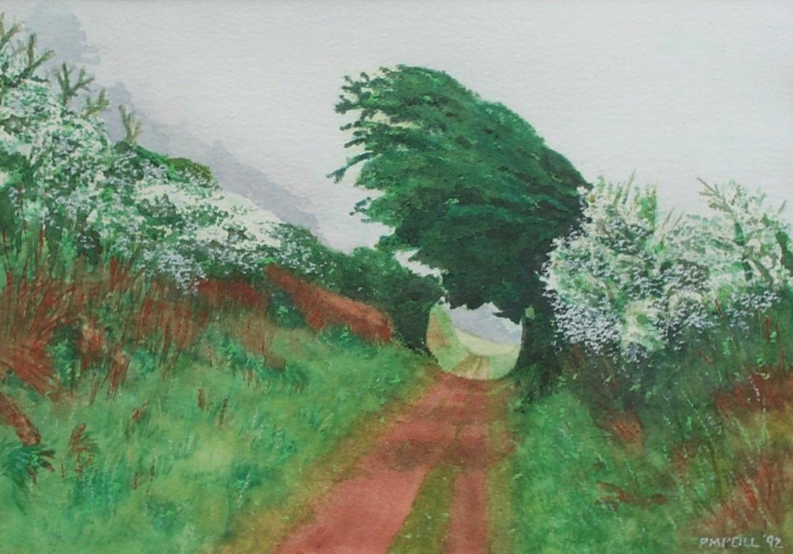 watercolours hawthornlane 344